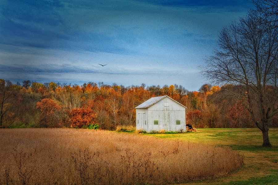 photo "Autumn Memories" tags: landscape, 