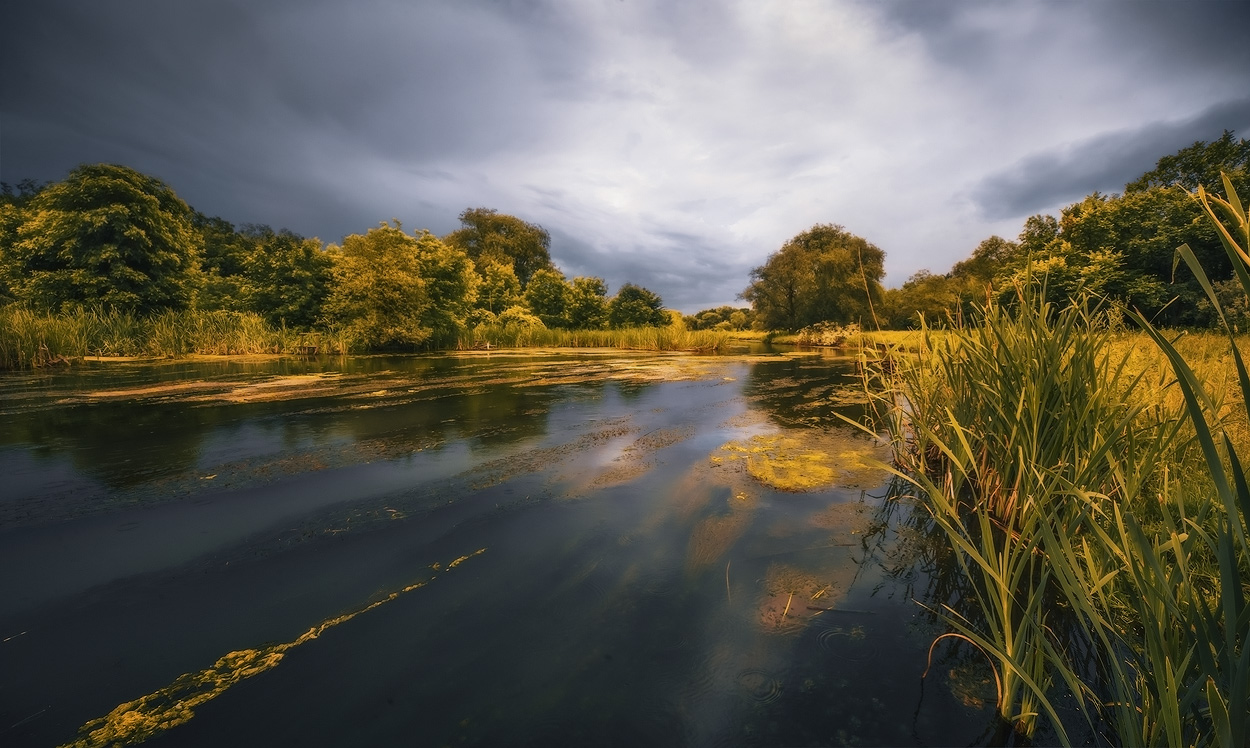 photo "***" tags: landscape, summer