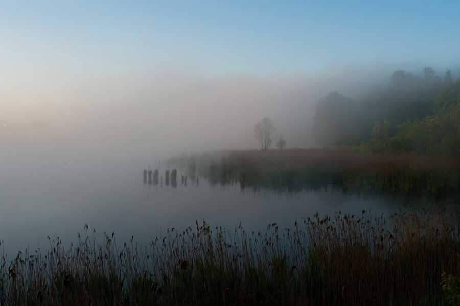 photo "***" tags: landscape, spring