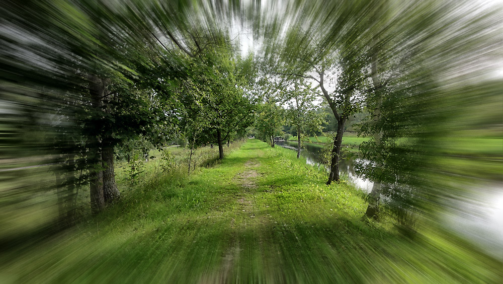 фото "Тропинка в весну" метки: пейзаж, весна