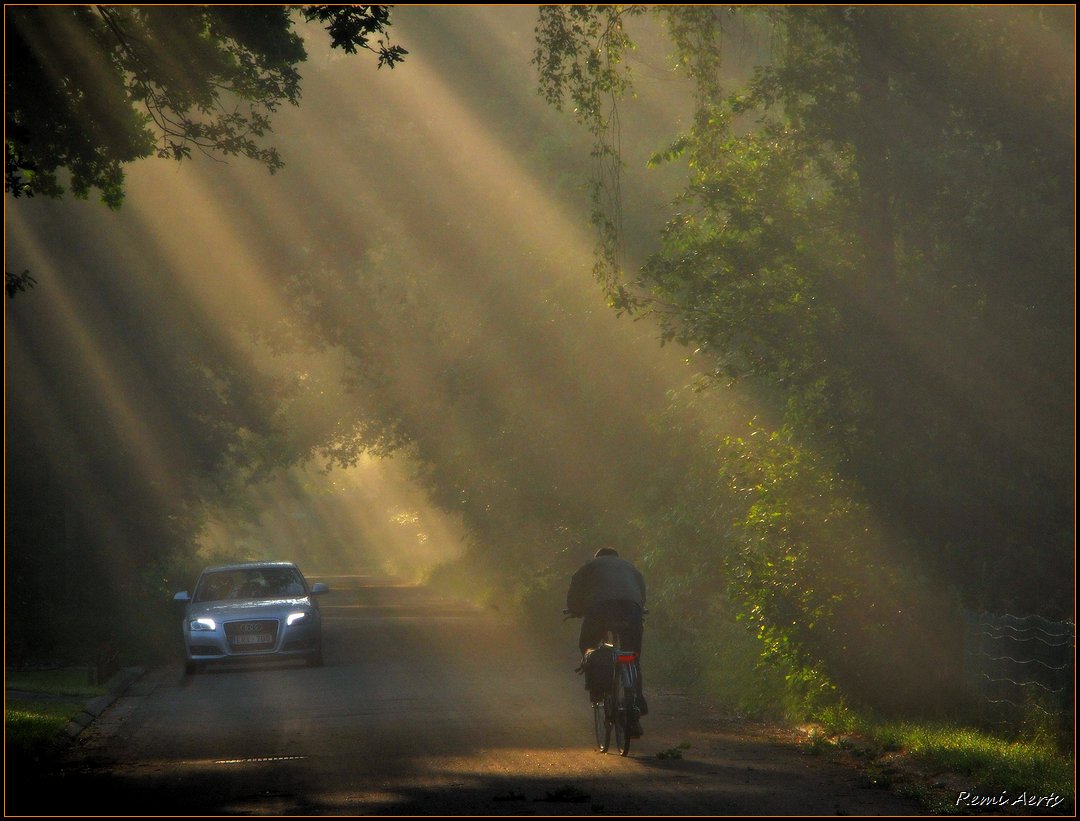 photo "bike ride to work" tags: landscape, spring, sunset