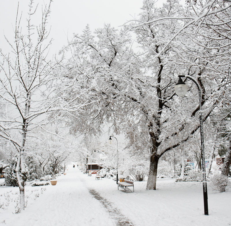 photo "***" tags: landscape, winter