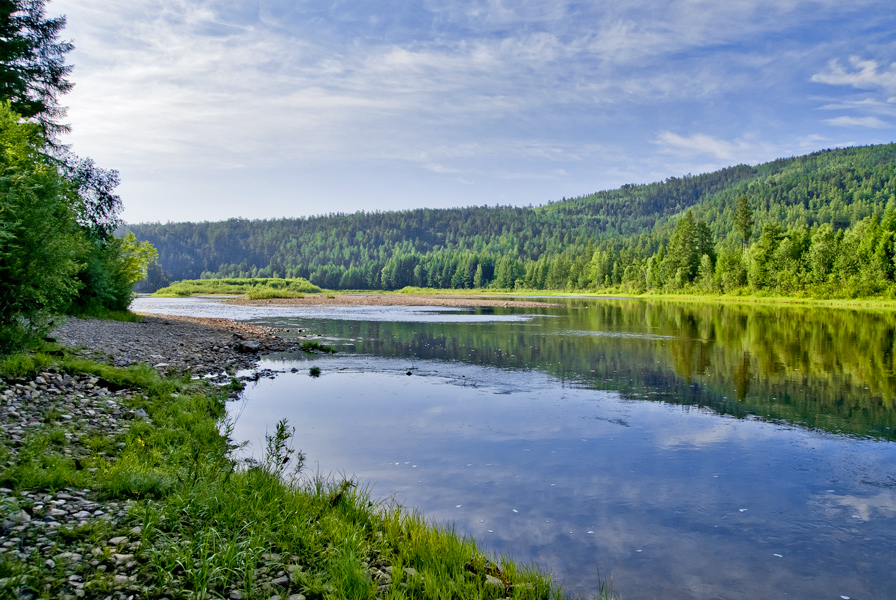 photo "***" tags: landscape, forest, summer