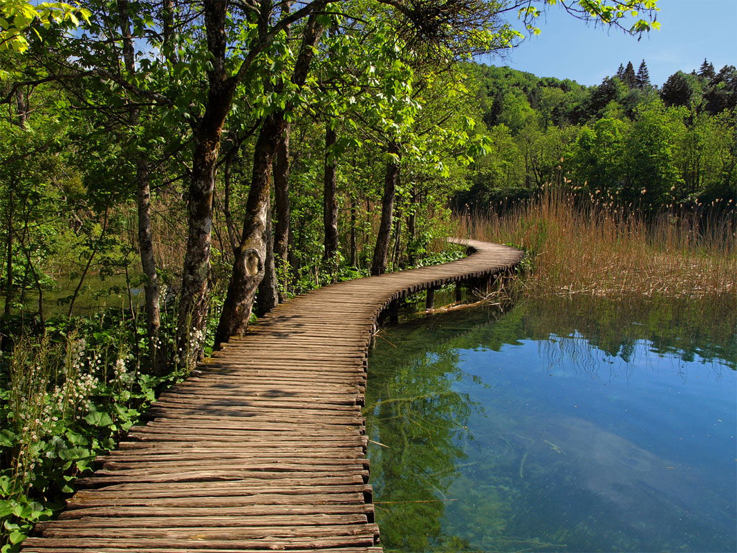 photo "***" tags: landscape, travel, Europe, forest