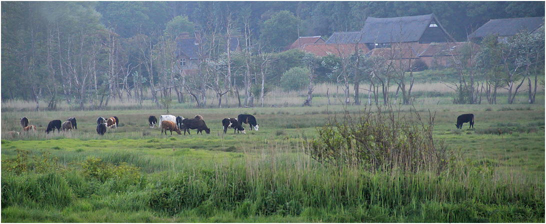 photo "Norfolk." tags: landscape, 