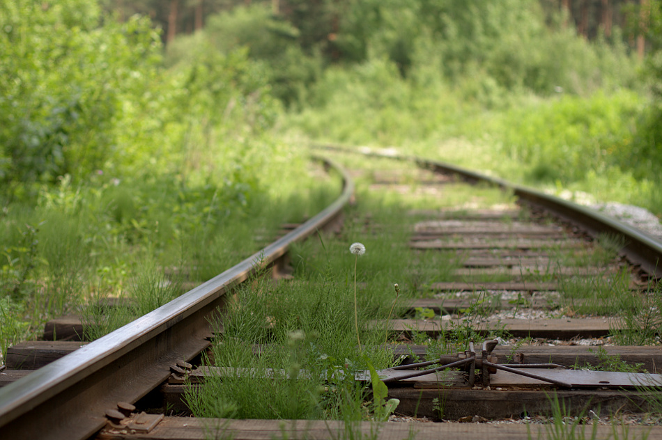 photo "***" tags: landscape, summer