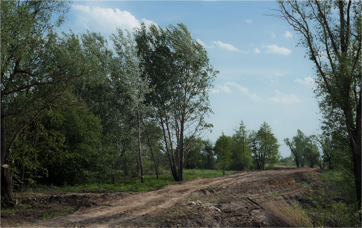 фото "В полдень" метки: пейзаж, 