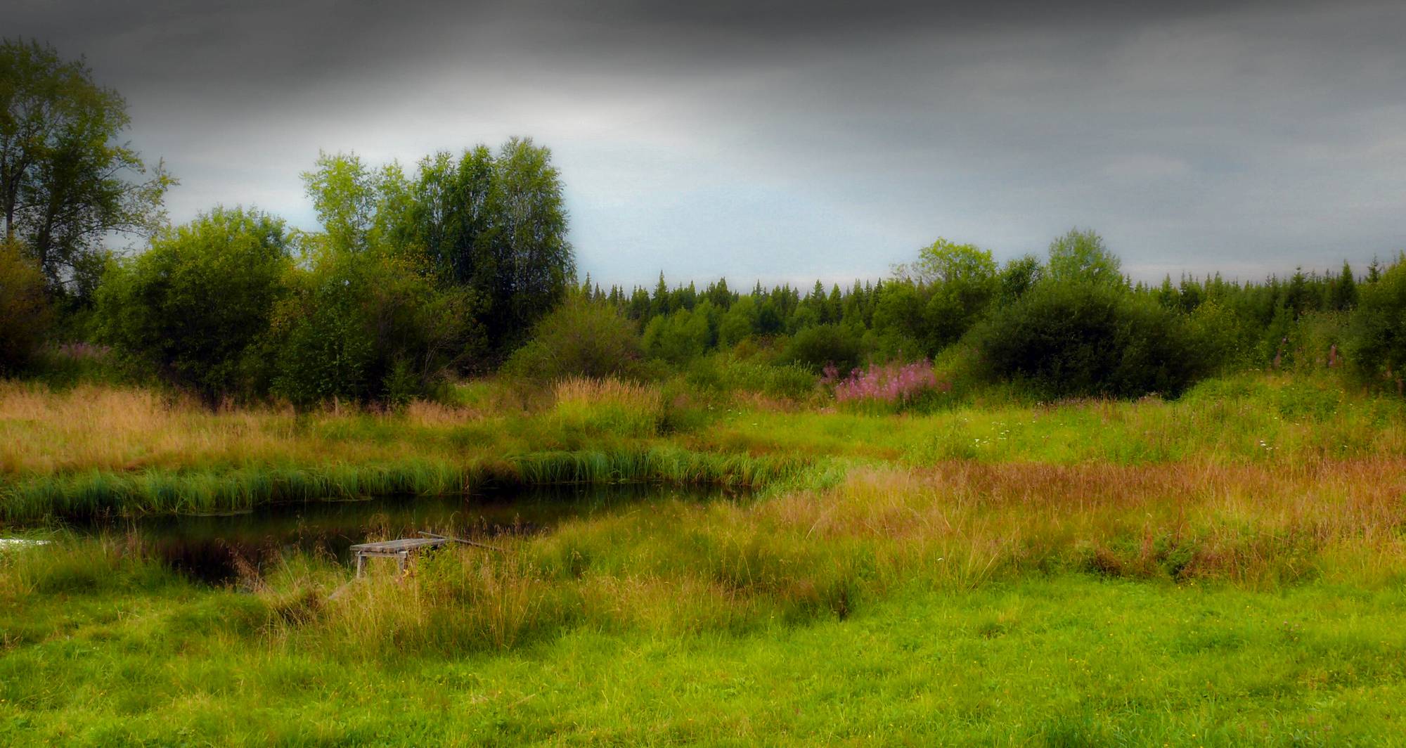 photo "***" tags: landscape, summer, water