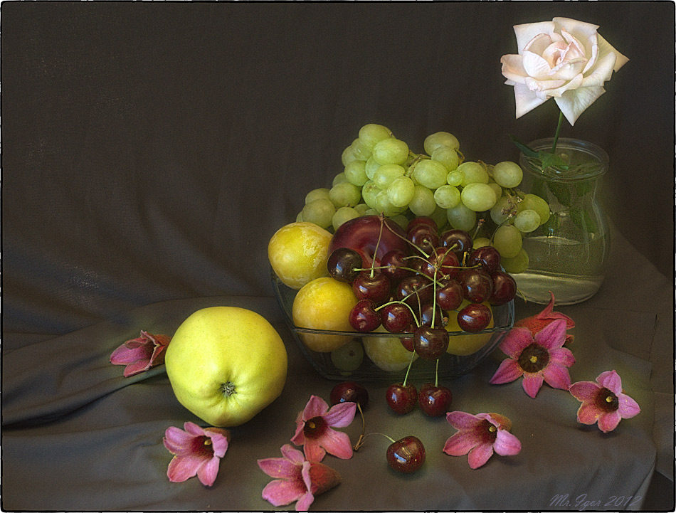 photo "Still life with sweet cherry and a rose" tags: still life, 