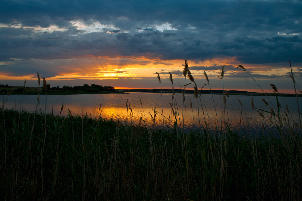 фото "Утро" метки: , 