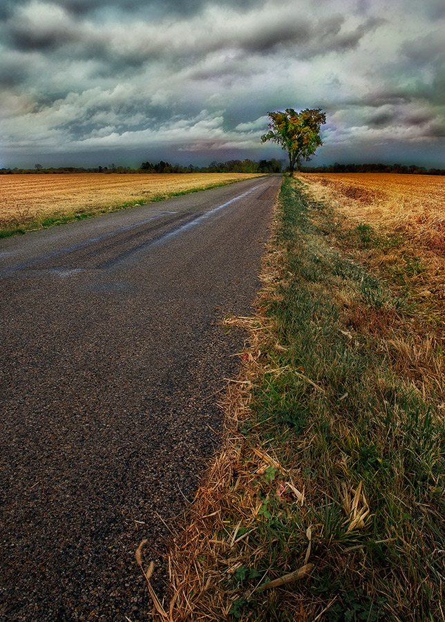 photo "***" tags: landscape, autumn