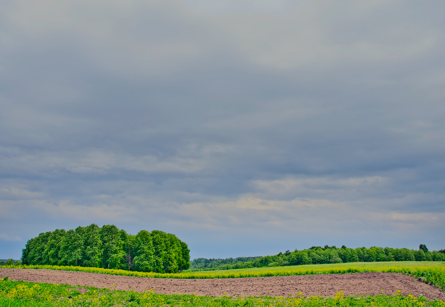 photo "***" tags: landscape, summer