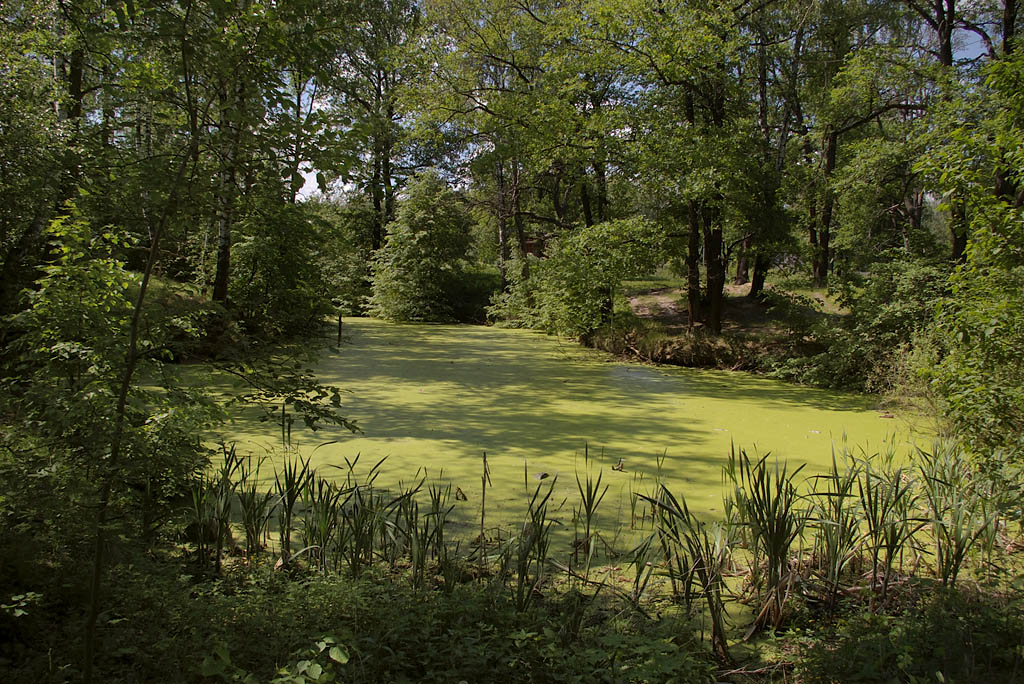 photo "***" tags: landscape, spring, water