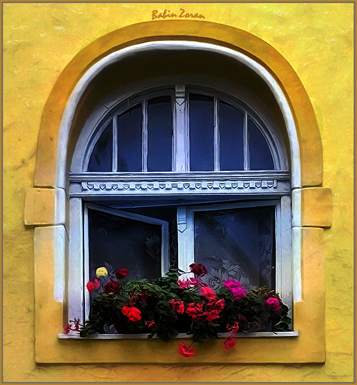 photo "yellow flower" tags: architecture, landscape, 