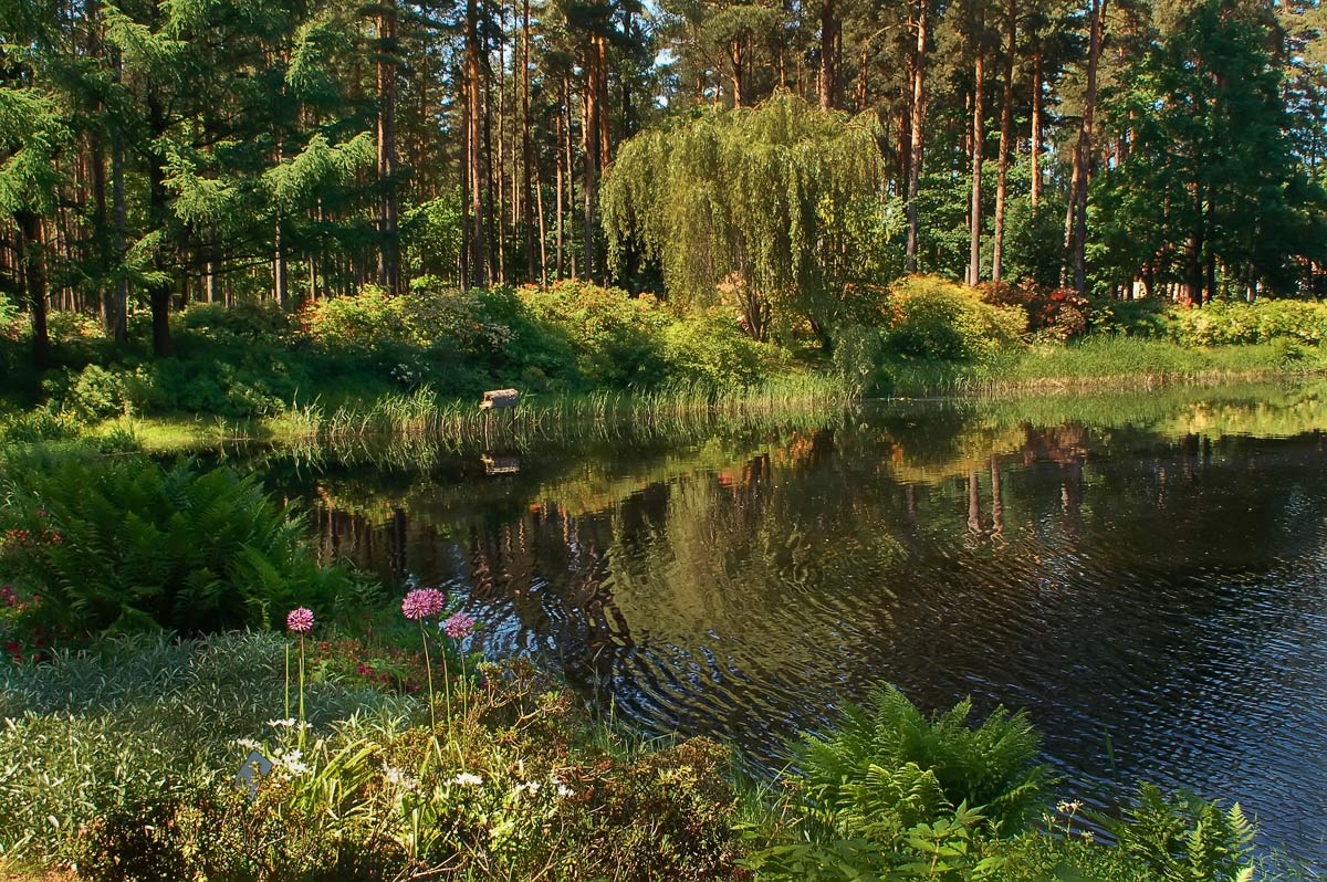 photo "***" tags: landscape, water