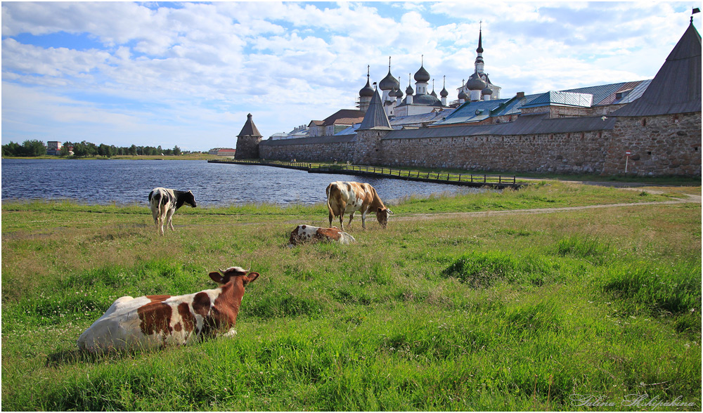 photo "Тихая жизнь острова" tags: architecture, landscape, 