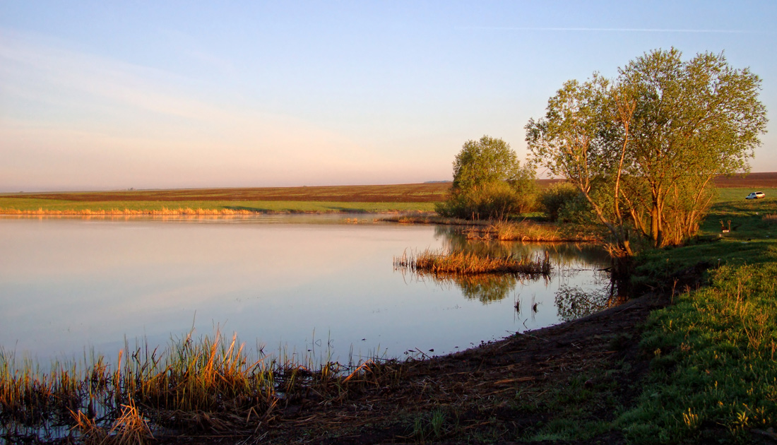 photo "meeting.." tags: landscape, spring