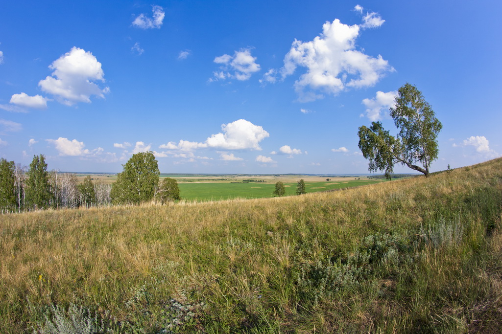 photo "***" tags: landscape, summer