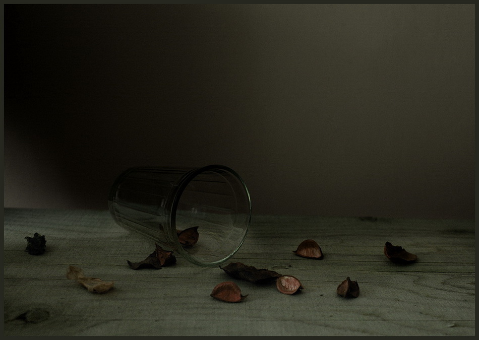 photo "***" tags: still life, 