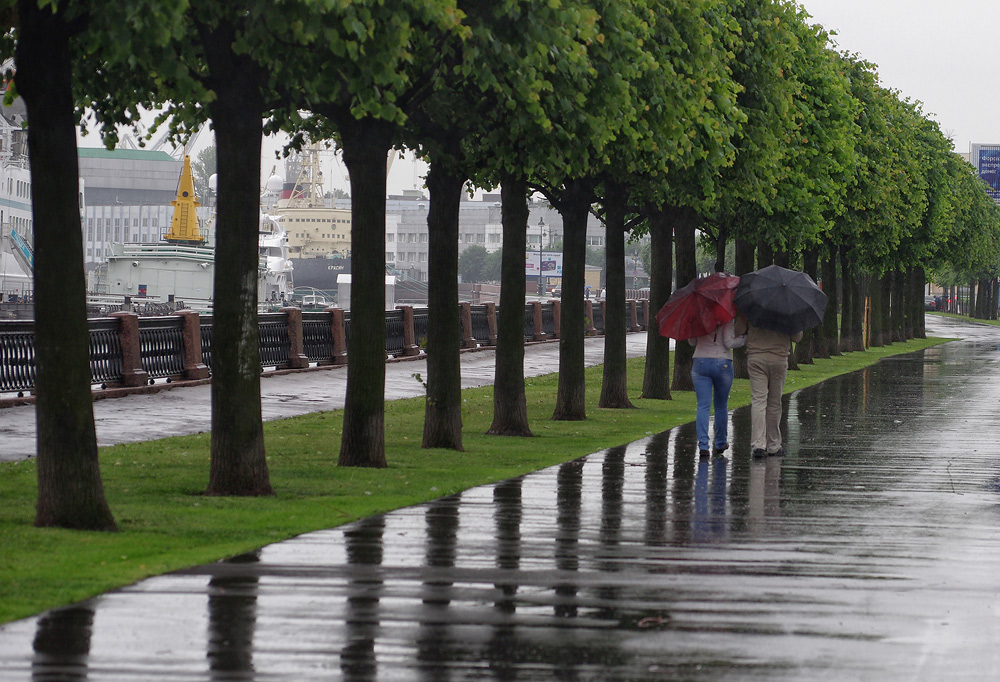 фото "прогулка под дождем" метки: город, 