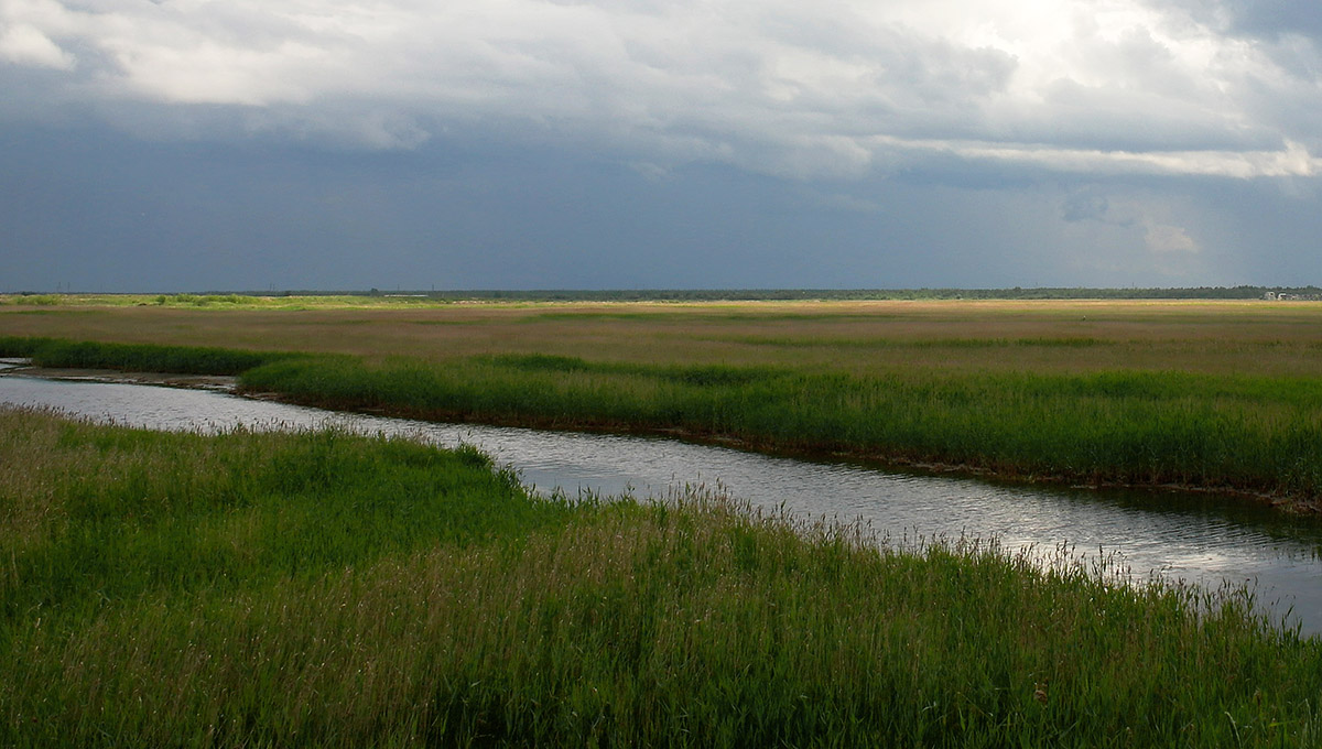 photo "***" tags: landscape, summer, water