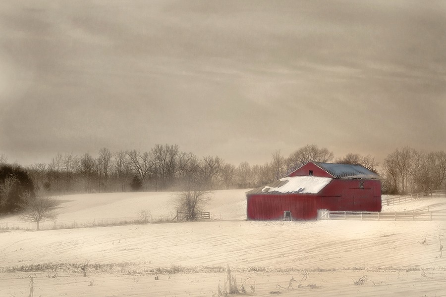 photo "Winter Red" tags: landscape, winter