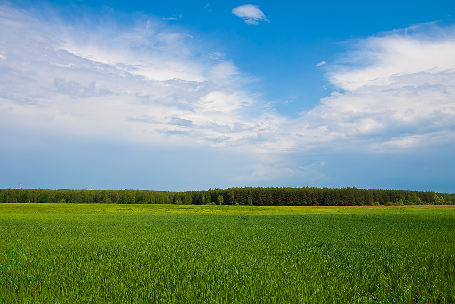 photo "***" tags: landscape, summer