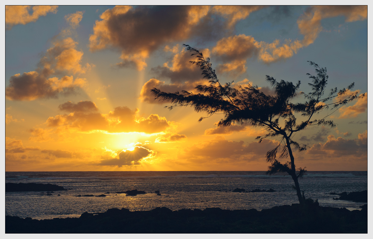 photo "***" tags: landscape, Africa, clouds, evening, light, ocean, sea, sun, sunrise, sunset, tree, water, Маврикий, лучи