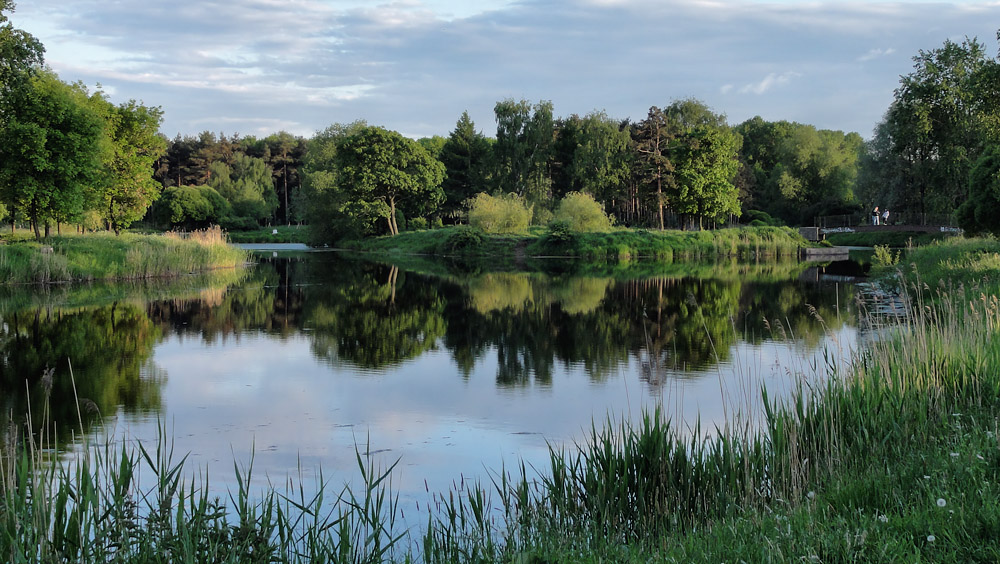 photo "***" tags: landscape, summer, water