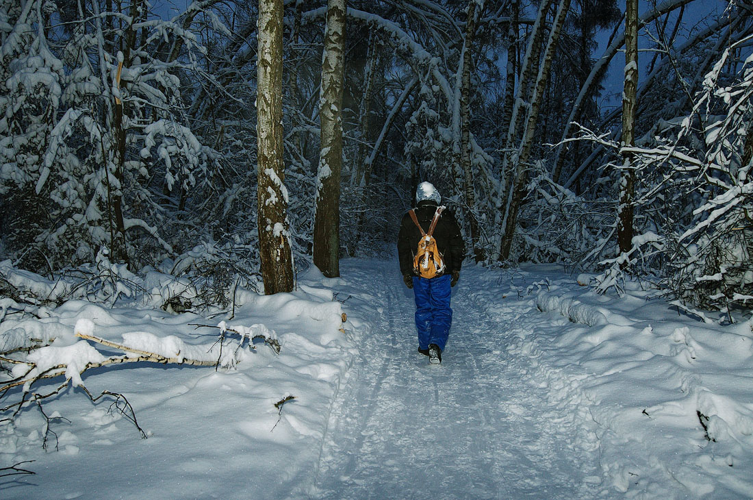 photo "***" tags: landscape, forest, winter