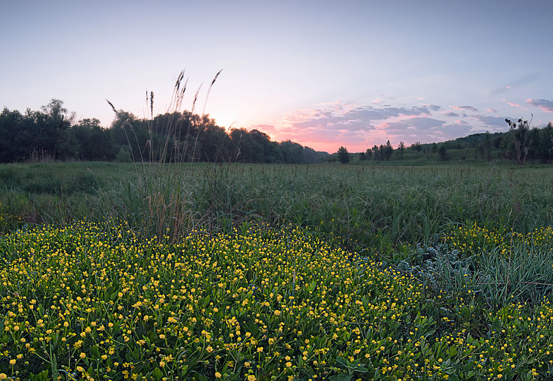 photo "***" tags: landscape, 