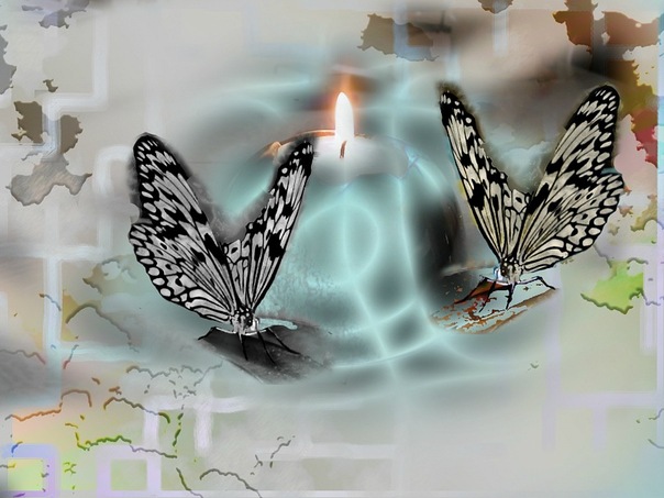 photo "butterflies" tags: digital art, 