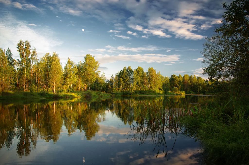 photo "Moonlight in June" tags: landscape, summer