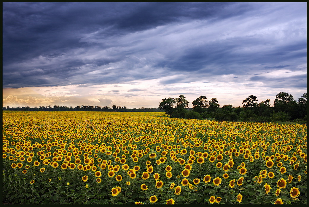 photo "***" tags: landscape, summer