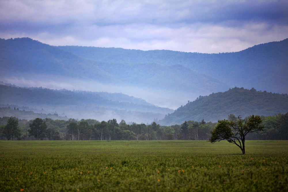 photo "***" tags: landscape, summer