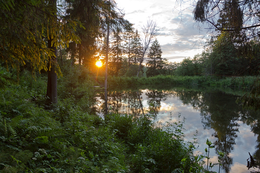 photo "***" tags: landscape, forest, sunset