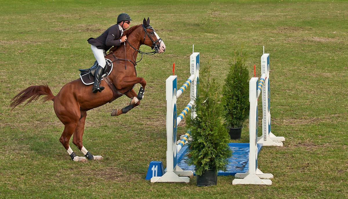 photo "***" tags: reporting, sport, 