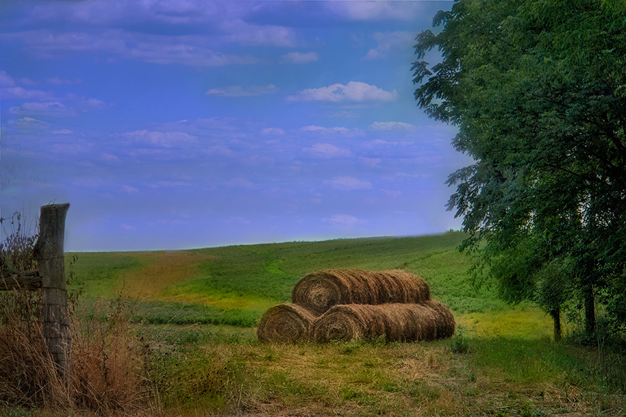 photo "Days of Summer" tags: landscape, 
