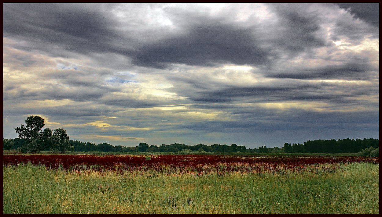 photo "***" tags: landscape, summer