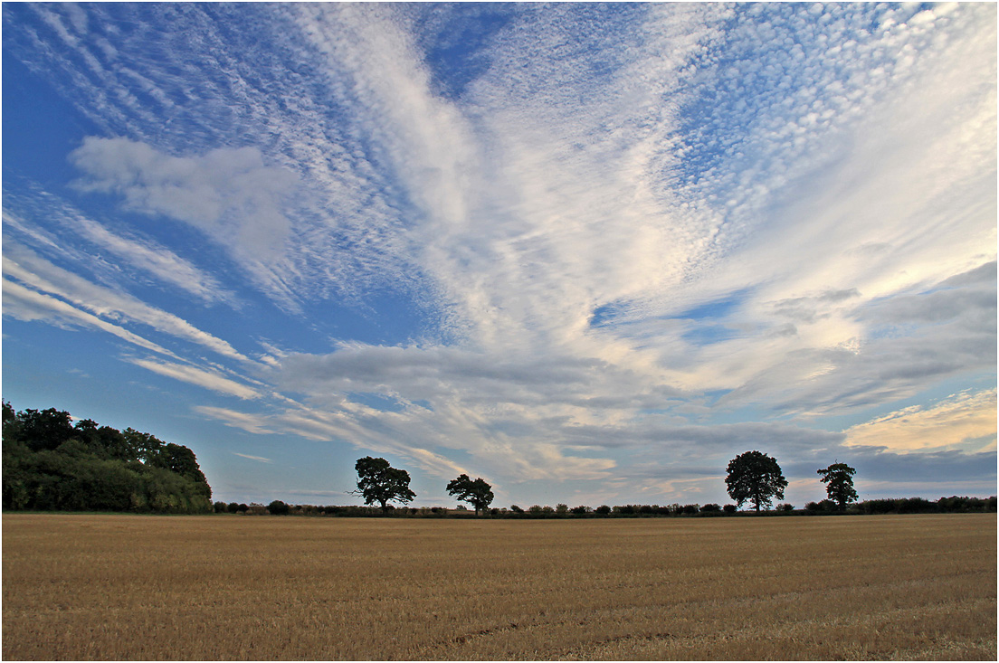 photo "***" tags: landscape, clouds, sunset, дерева