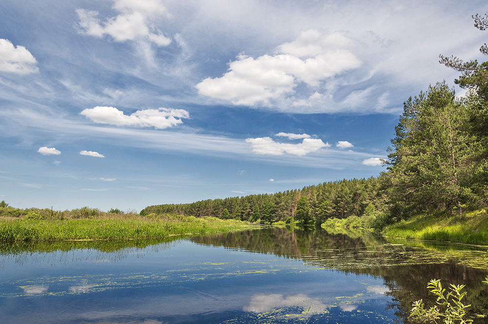 photo "***" tags: landscape, summer