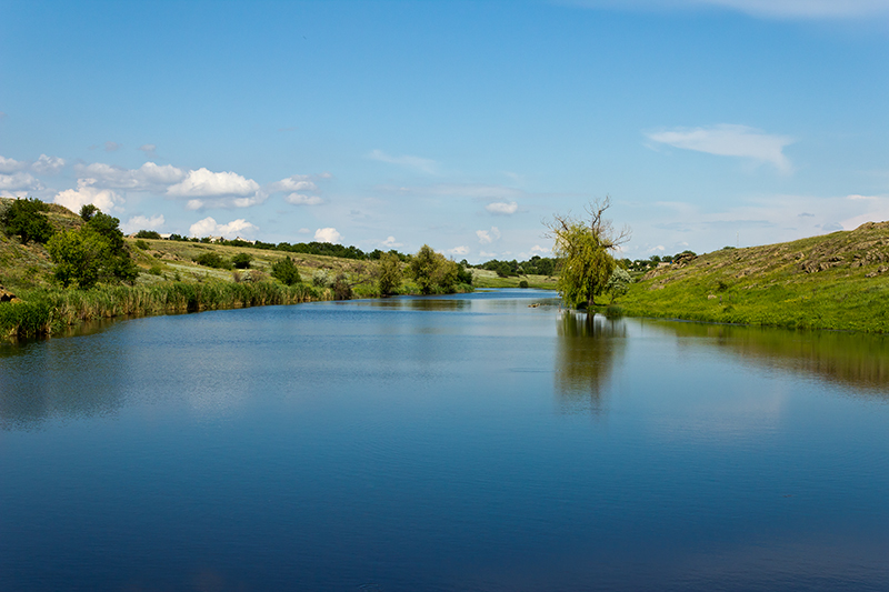 photo "***" tags: landscape, nature, clouds, coast, grass, meadow, reflections, river, summer, tree, water, камыши