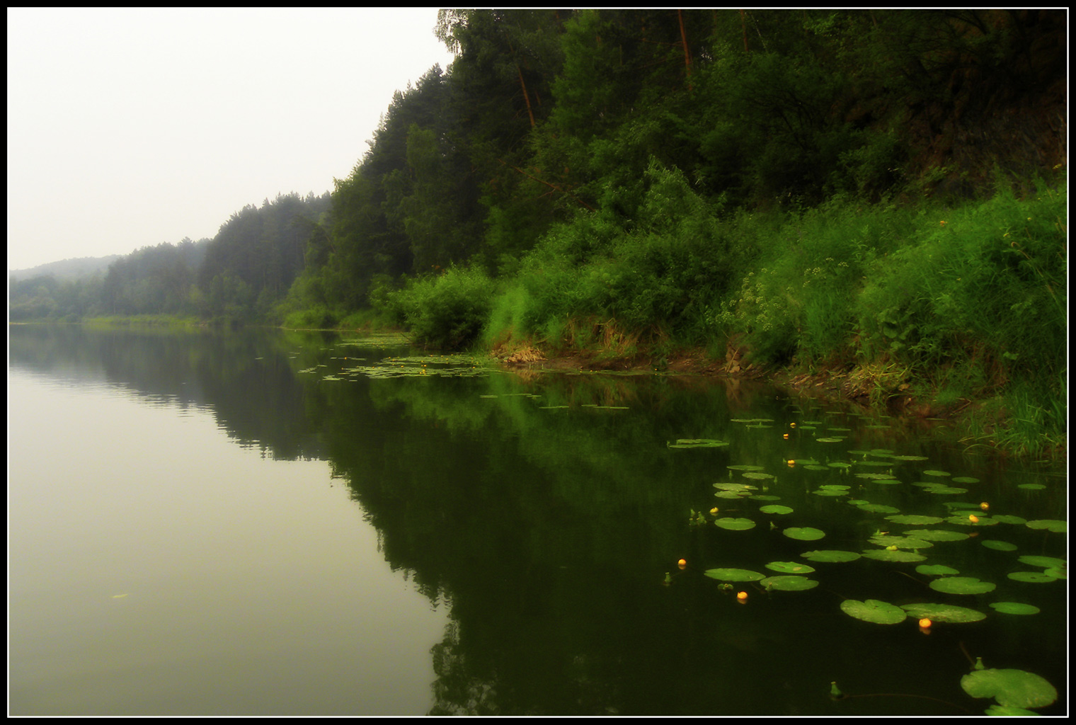 фото "..." метки: пейзаж, вода, лес