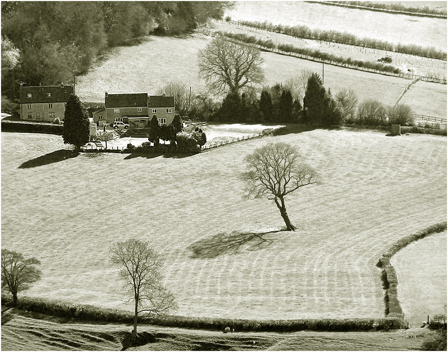 photo "***" tags: landscape, black&white, spring, дерева, чёрно-белое