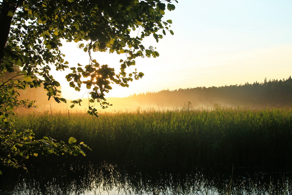 photo "***" tags: landscape, summer