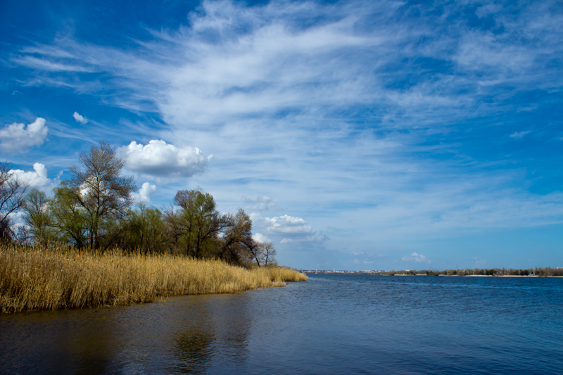 photo "***" tags: landscape, Dnieper, clouds, coast, river, spring, tree, water, камыши, плавни