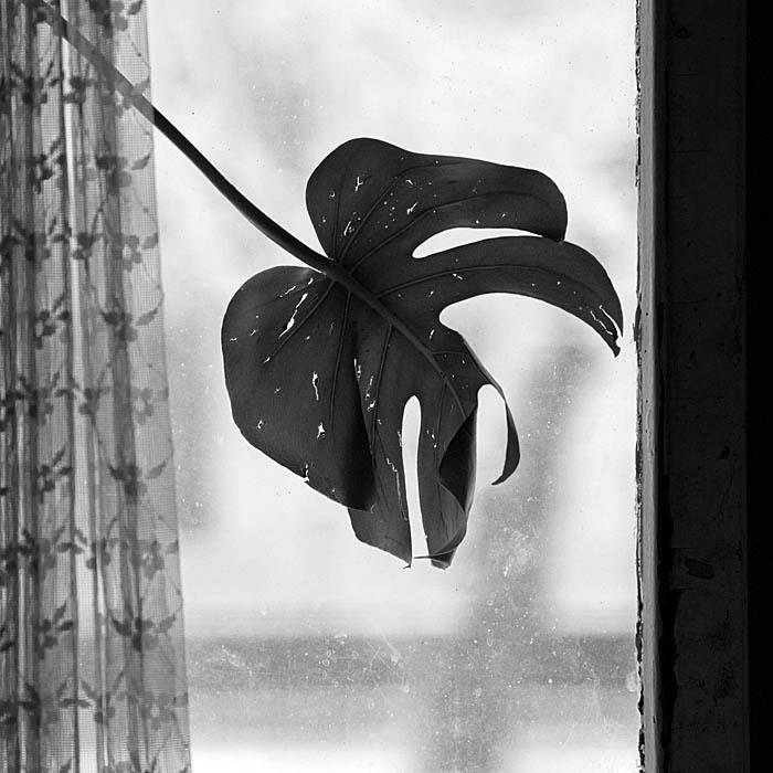 photo "Old window" tags: black&white, fragment, Метафизическая фотография