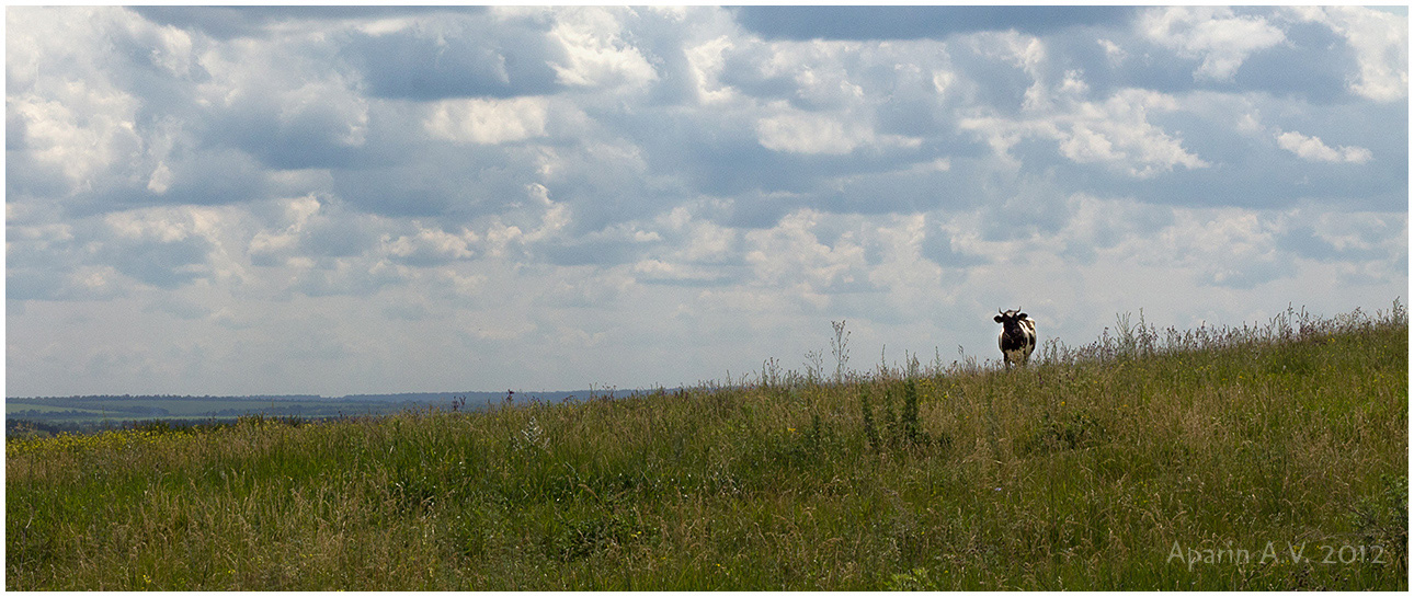 photo "***" tags: landscape, clouds, summer