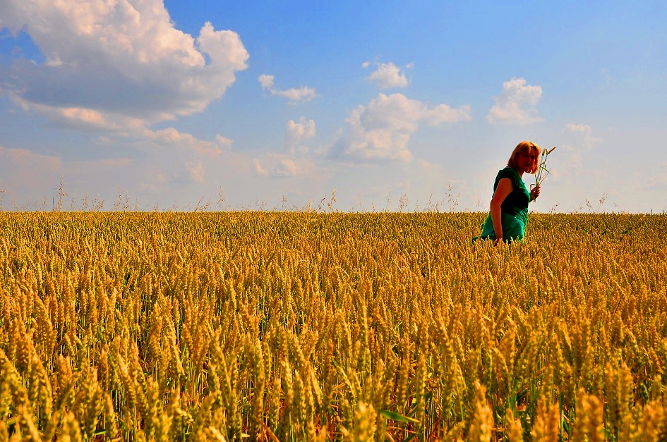 photo "***" tags: landscape, summer