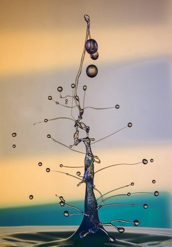 фото "liquid tree" метки: макро и крупный план, 